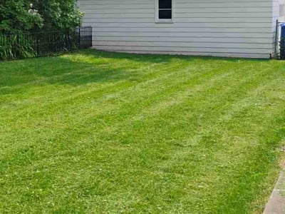 Lawn Care service in Auburn, 01501
