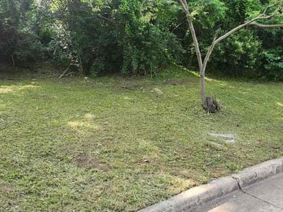 Lawn Care service in Santee, 92071