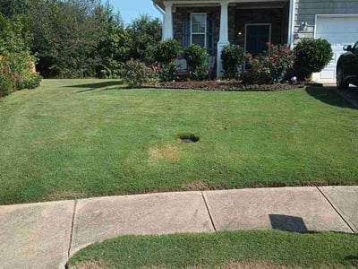Lawn Care service in Valencia, 91355