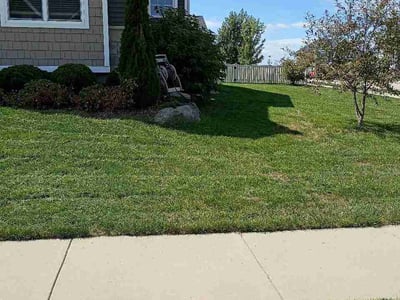 Lawn Care service in Deforest, 53532