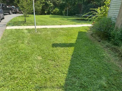 Lawn Care service in Elkton, 21921