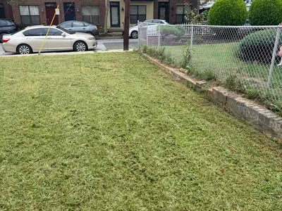 Lawn Care service in Hyattsville, 20781