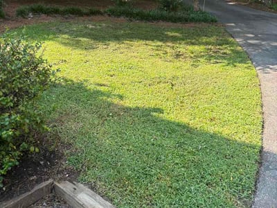 Lawn Care service in Hillsborough, 27278