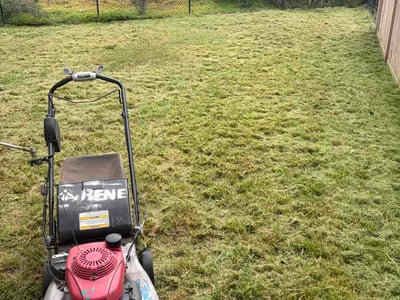 Lawn Care service in Fallbrook, 92028