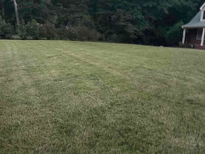 Lawn Care service in Bluefield, 24701