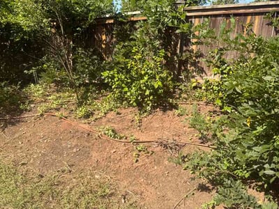 Lawn Care service in Roxboro, 27573