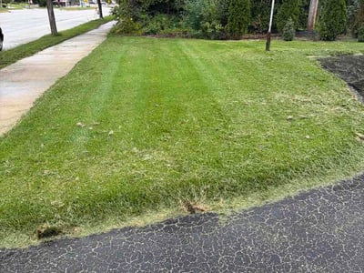 Lawn Care service in Hartford, 53027