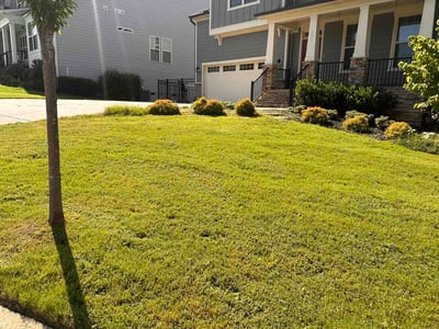 Lawn Care service in Holly Springs, 27540