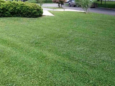 Lawn Care service in Upper Marlboro, 20772