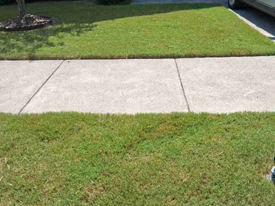 Lawn Care service in Roxboro, 27573