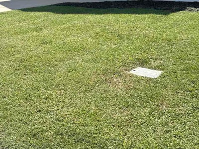 Lawn Care service in Jamestown, 27282