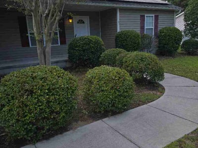 Lawn Care service in Ramona, 92065