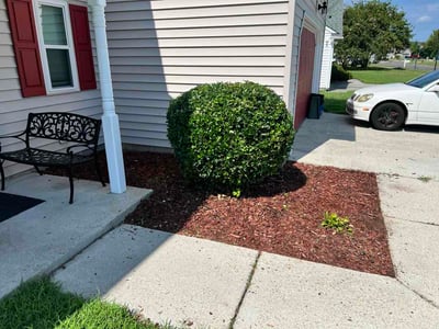 Lawn Care service in Ramona, 92065