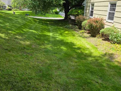 Lawn Care service in Pittsford, 14534