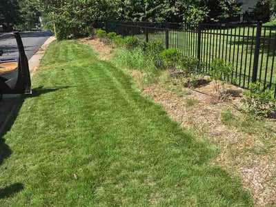 Lawn Care service in Youngsville, 27596