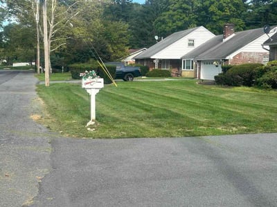 Lawn Care service in Lehigh Valley, 18103