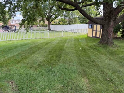 Lawn Care service in Lehigh Valley, 18103