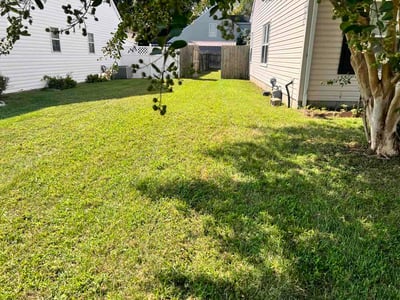 Lawn Care service in Oceanside, 92054