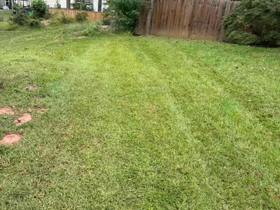Lawn Care service in College Park, 20742