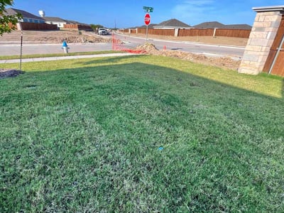 Lawn Care service in El Cajon, 92020