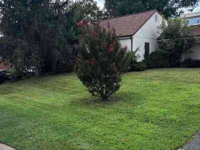 Lawn Care service in El Cajon, 92020