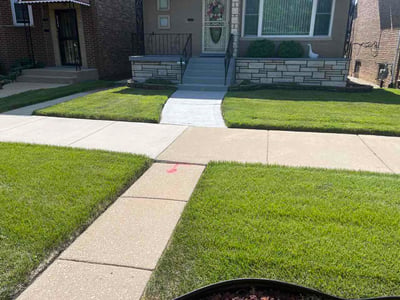 Lawn Care service in Woodridge, 60517