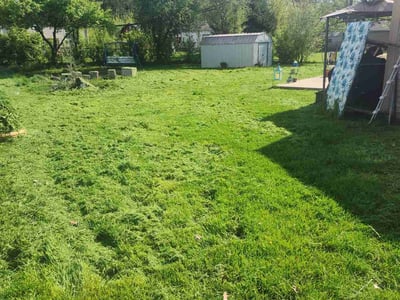 Lawn Care service in Woodridge, 60517