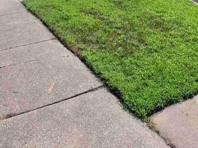 Lawn Care service in Oswego, 60543