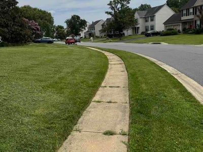 Lawn Care service in Claymont, 19703