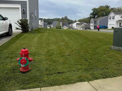 Lawn Care service in ,