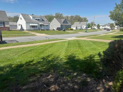 Lawn Care service in Dana Point, 92629
