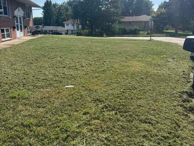 Lawn Care service in Collinsville, 62234