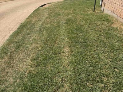 Lawn Care service in Dana Point, 92629