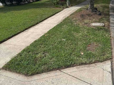 Lawn Care service in Denver, 28037