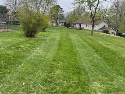 Lawn Care service in New Holland, 17557