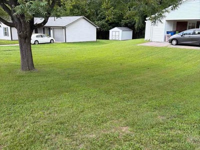 Lawn Care service in Four Oaks, 27577