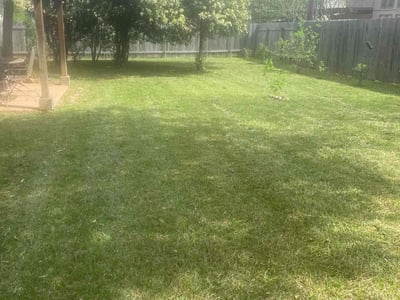 Lawn Care service in Lake Stevens, 98258