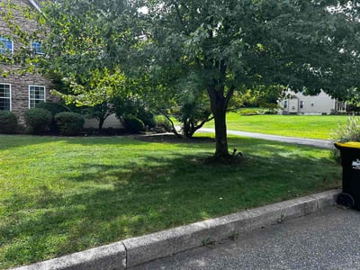 Lawn Care service in Pottstown, 19464
