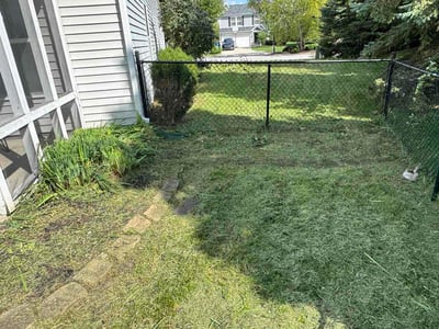 Lawn Care service in Coatesville, 19320