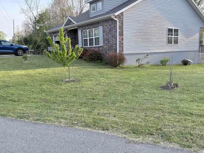Lawn Care service in Jonesboro, 72401