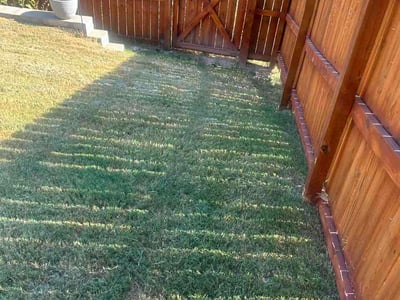 Lawn Care service in Jonesboro, 72401
