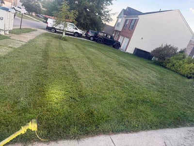 Lawn Care service in Centreville, 20120