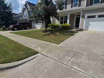 Lawn Care service in Raleigh, 27601