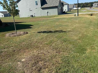 Lawn Care service in Goldsboro, 27530