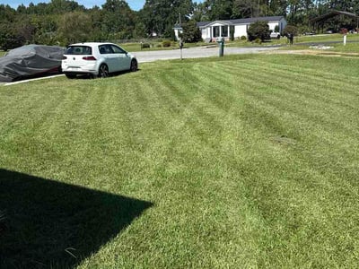 Lawn Care service in Goldsboro, 27530