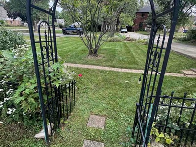 Lawn Care service in Wheaton, 60187