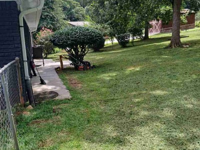 Lawn Care service in Compton, 90220