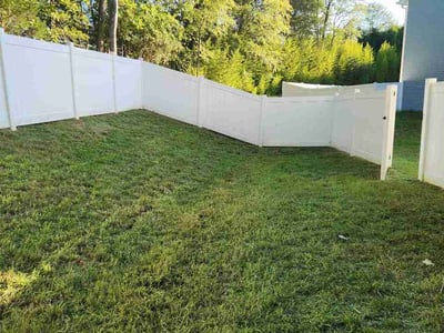 Lawn Care service in Davidson, 28036
