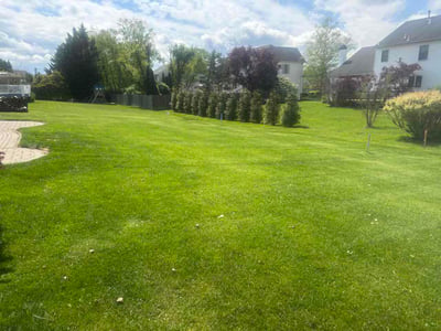 Lawn Care service in Doylestown, 18901
