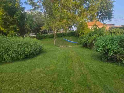 Lawn Care service in Laguna Beach, 92651